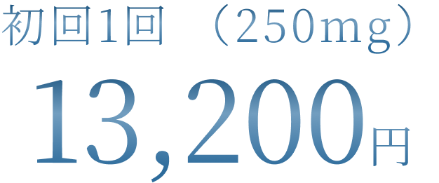 初回1回 （250mg） 13,200円