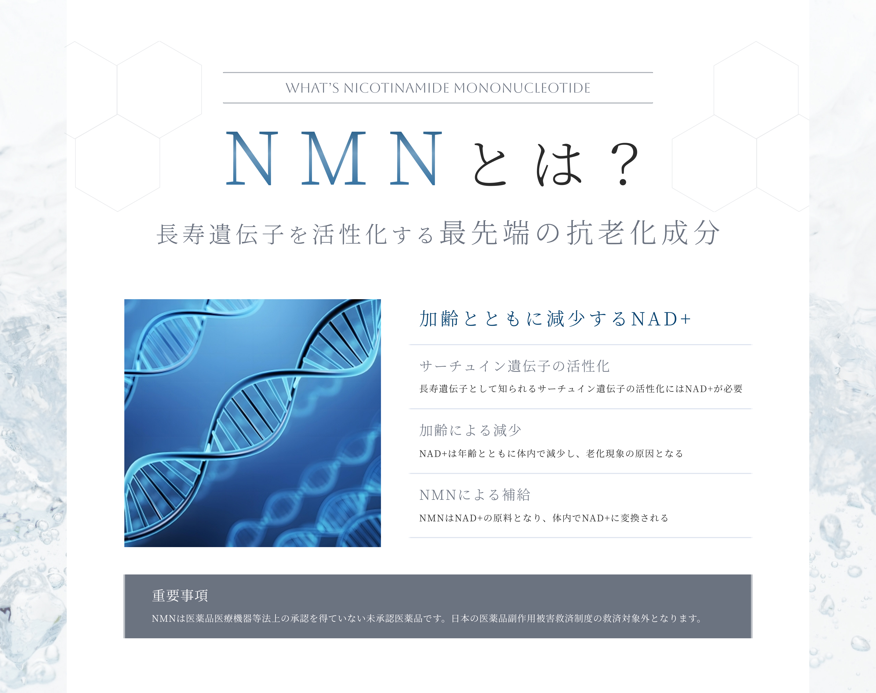 NMNとは？